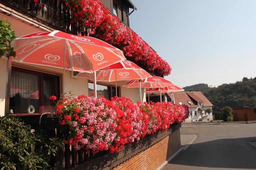 Landgasthof Hotel Sauer Willingen  Extérieur photo